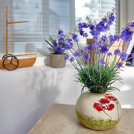 Amapola - Odin * Sellin (Rugen)