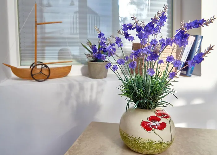 Amapola - Odin * Sellin (Rugen)