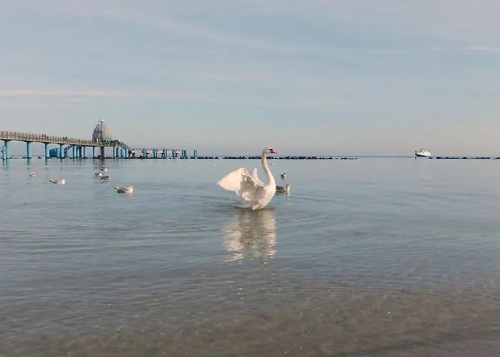 Villa Amapola - Odin *